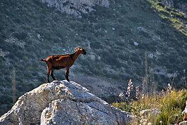 DSC05852 -1_t.jpg